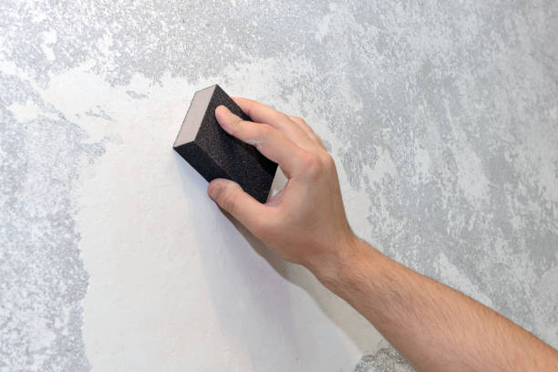 Mold Documentation for Insurance Claims in Fivepointville, PA